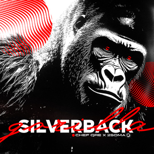 Silverback Gorilla