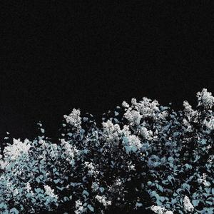 时光流逝 (钢琴)