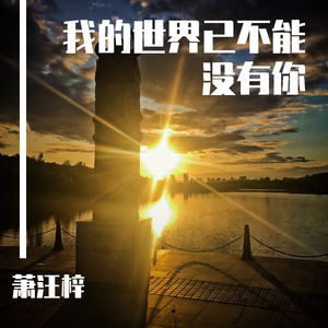 我的世界已不能没有你