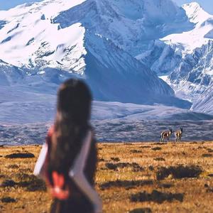 第57次取消发送（合理版，听了发给好友）