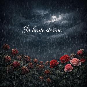 In brate straine