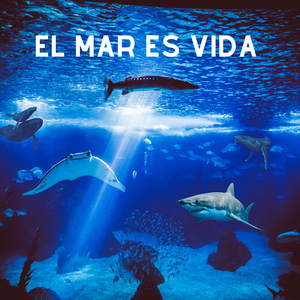 Bañándome en Alegría