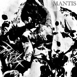 Mantis