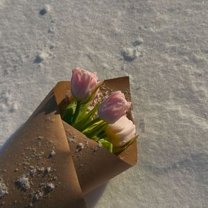 Первая весна