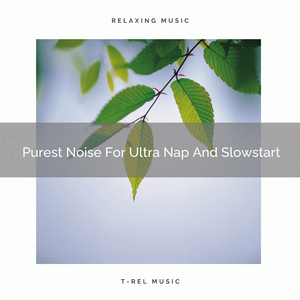 Purest Noise For Ultra Nap And Soft Bed