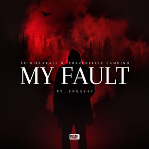My Fault (feat. Enkay47)