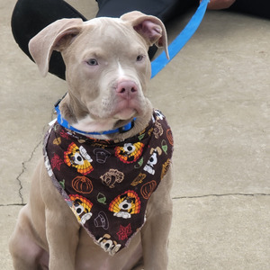 dont play with fire (Freestyle)