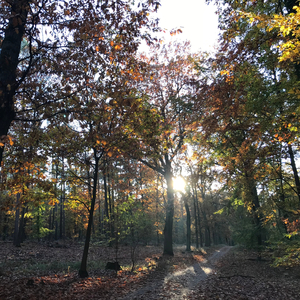 Sitting in the Stern of a Boat