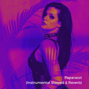 Paparazzi (Instrumental Slowed)