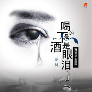 喝的不是酒是眼泪 (DJ苏平加速版)