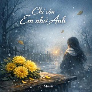 CHỈ CÒN EM NHỚ ANH