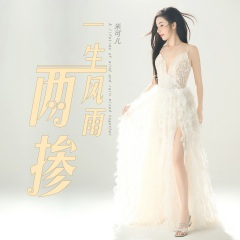 一生风雨两掺 (DJ光波版)