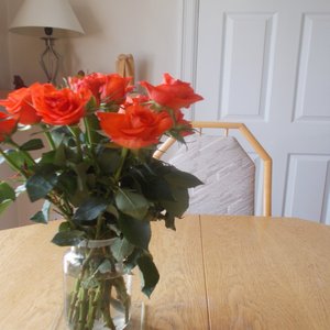 The Moment I Saw Her