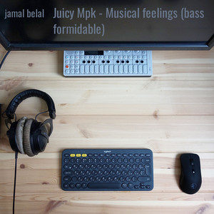 Juicy Mpk: Musical Feelings (Bass Formidable)