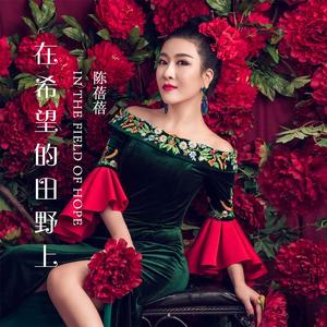 在希望的田野上