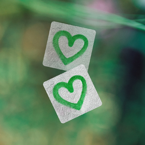 סטיב ואיניד