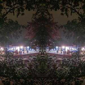 Broken Bones and Boredom