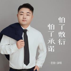 怕了敷衍怕了承诺