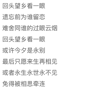 望乡台（Cover. Winky诗）