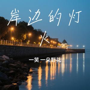 岸边的灯火