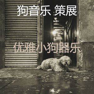 温和小狗梦想