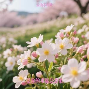 是你的幸福总会来 (Remix)