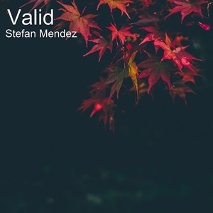 Valid
