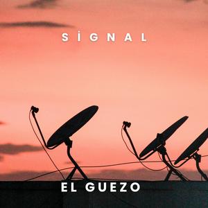 Signal