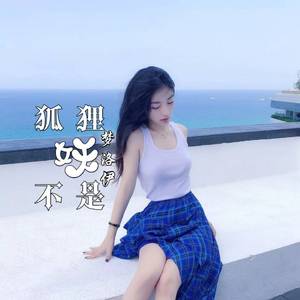 梦洛伊《寻欢作乐（DJ版）》