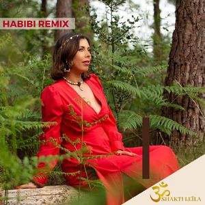 Habibi (Remix)