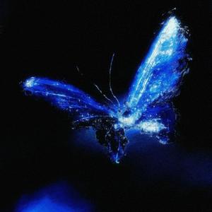 海芋恋（女版）