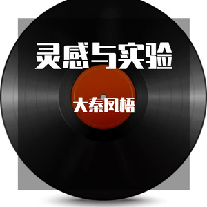 我应该去爱你（大秦凤梧 remix）