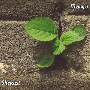 Shekast