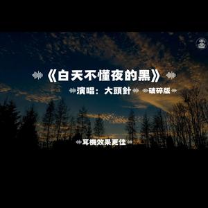 白天不懂夜的黑/大頭針