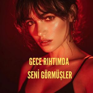 Gece Rıhtımda Seni Görmüşler