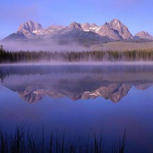 你的温柔却是我享受不到的伤