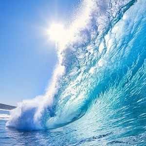 不如把一杯高歌