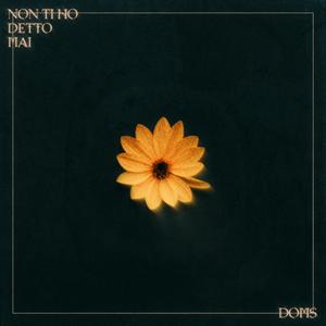 Non Ti Ho Detto Mai