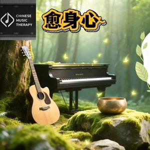 G 弦上的咏叹调|助眠