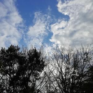 饮马江湖风萧萧（翻自 少司命）