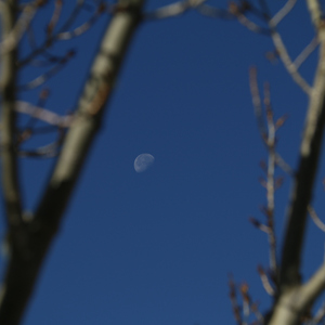 疼你的责任（cover 品冠）