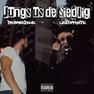 Jungs us de Siedlig