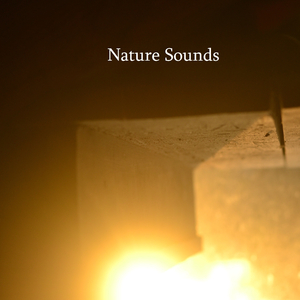 Lay Back (Sea Sound)