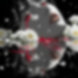 私は鳥になりたい