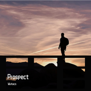 Prospect（instrument）