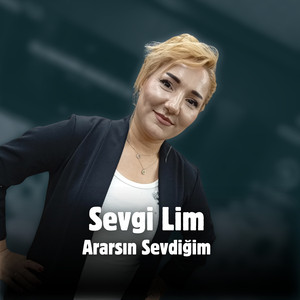 Ararsın Sevdiğim