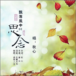 飘落风中的思念 (伴奏)