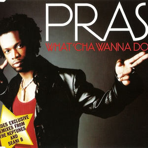 What'cha Wanna Do (LP Version)