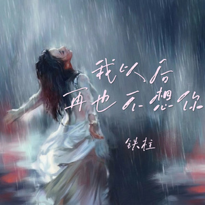 我以后再也不想你