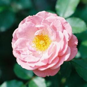 回不去的何止时间 (孙乃平 Remix)